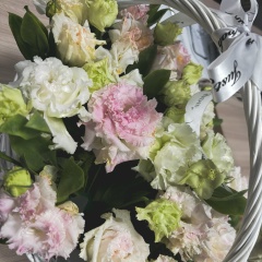 Айша Амиржан, Астана