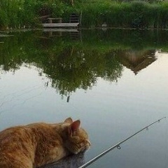 Володька Якубовський, 15.12, Ивановка (Узинская община)