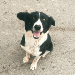 Мариям Ералиева, 12.05.1993, Шымкент