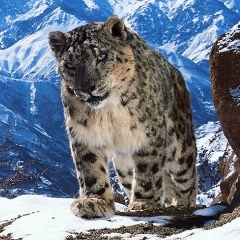 Oleg Lushankov, 29.10.1987, Москва