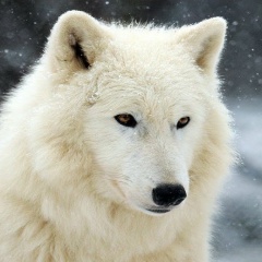 Виталий Микеров, 21.06.1990, Таллин