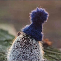 Елена Архипова, 21.05, Москва