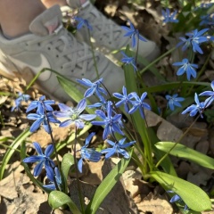 Виктория Мишина, 10.02, Курск