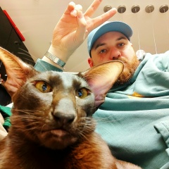 Герман Герман, Санкт-Петербург