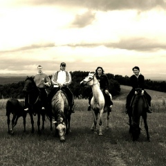 Константайшн Теплых, 29.11, Москва