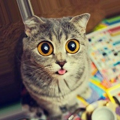 Максим Галеев, 01.08, Казань