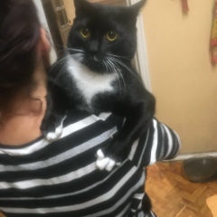 Ольга Родионова, Санкт-Петербург