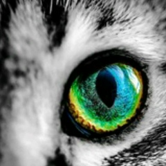 Елена Κопылова, Саратов