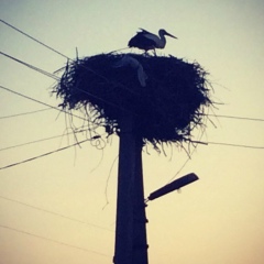 Мария Осморская, 30.01, Киев