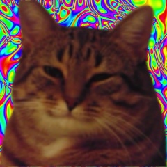 Влад Аксёнов, 31.07.1989, Москва