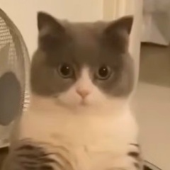 Артём Журавлёв, 11.10.1993, Уфа