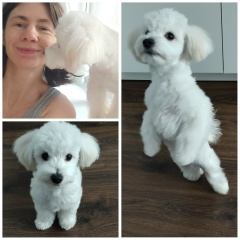 Наталья Ерехинская, Санкт-Петербург