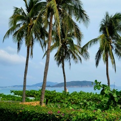 Екатерина Беляевская, Санкт-Петербург