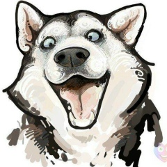 Александр Нуртдинов, 14.12.1988, Ковдор