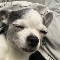 Артем Архипов, 08.12.1983, Москва