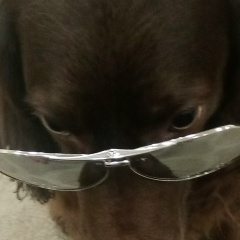 Сергей Соловьев, 07.09.1985, Удомля