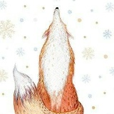 Мария Клепацкая, 11.05, Волхов