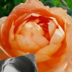 Евгения Кузнецова, 01.03.1984, Москва