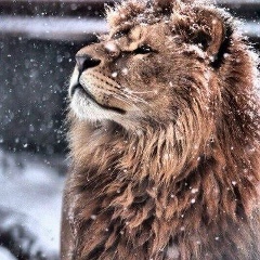 Сайфуллах Аргунский, 02.11.1995, Аргун