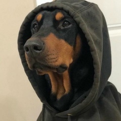 Anzhela N, 25.02.1997, Хромтау