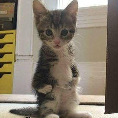 Антон Ефремов, Ульяновск