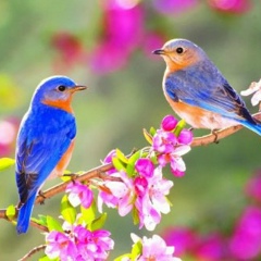 Лилия Мамбетова, 01.01.1980