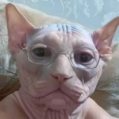 Артур Артуров, Владивосток