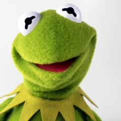 Рамин Гусейнов, 12.05.1988, Санкт-Петербург