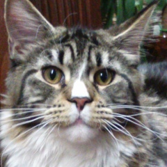 Артем Халилов, Екатеринбург