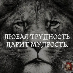 Карен Сафарян, 06.05, Видное