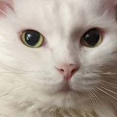 Игорь Разживайкин, 04.12.1991, Видное