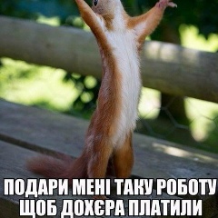 Владимир Скляренко, 07.03.1985, Херсон