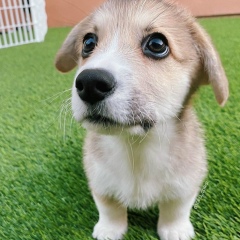 Торгын Тажигалиева, 25.02