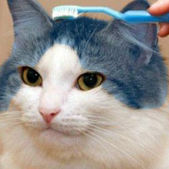 Gabriel Budzislaw, 03.06.1980