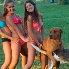 Airflare Apparat, 25.08, Нижний Новгород