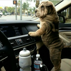 Михаил Головатюк, 21.11.1989, Киев