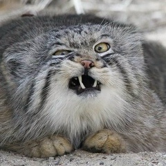 Тимур Мухамедшин, 23.09, Казань