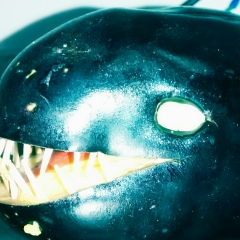 Roberto Júnior, 07.03.1988, Fortaleza