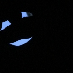 Иван Кунжутов, 21.09, Москва