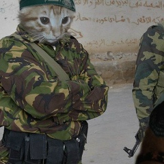 Исрапил Омариев, 15.01.2000, Махачкала