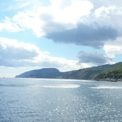 Максим Куракин, Брянск