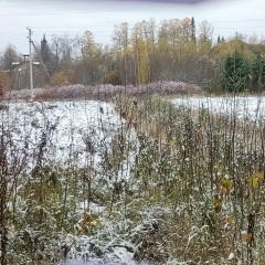 Екатерина Вохмянина, 21.12.1985, Санкт-Петербург