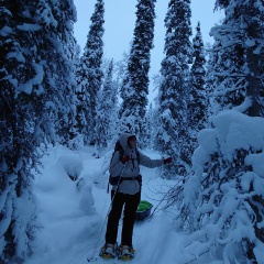 Екатерина Ипполитова, 20.10.1988, Москва