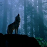 Игорь Щуков, 27.01, Санкт-Петербург