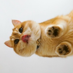 Зарина Фазилова, 08.12