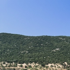 Анна Сорокина, 22.01, Балашиха