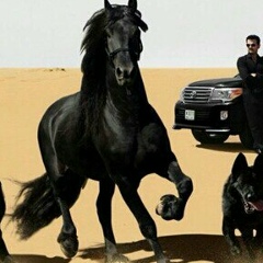 Bek Azimbaev, 20.06.1988, Астана