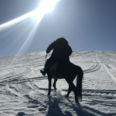 Ильяс Жайлибаев, 01.04.1986, Алматы
