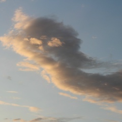 Алия Жиеналина, 18.02, Алматы