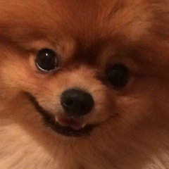 Армида Аванесова, 19.03.1986, Москва